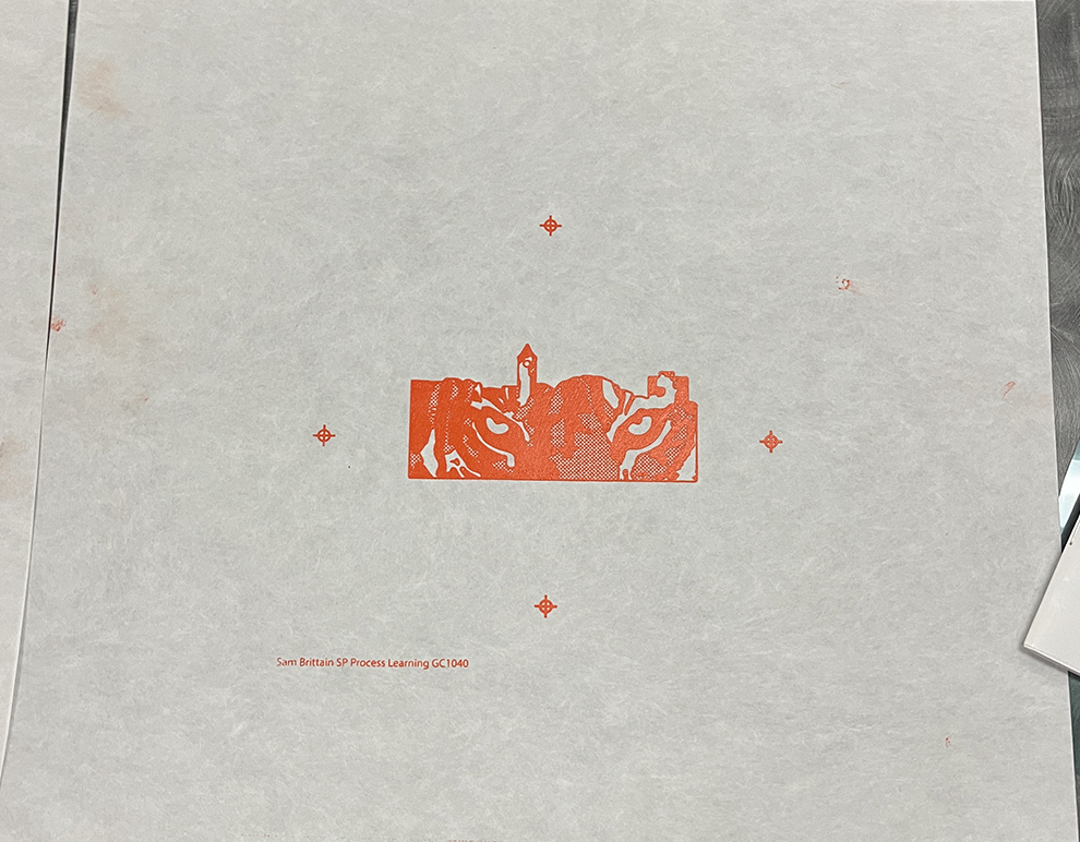 screen printing project