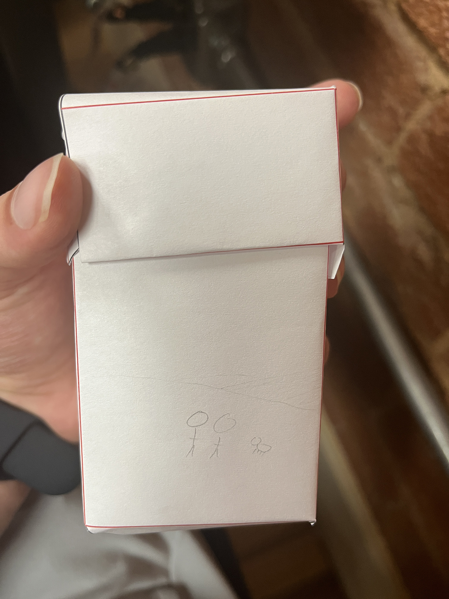 Sketches of the project